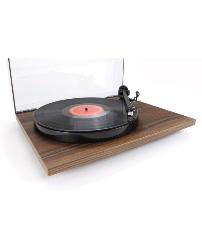 REGA  PLANAR 1 PLUS WALNUT - immagine 2