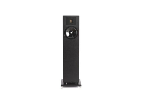 NEAT  ELITE CLASSIC nero (coppia)