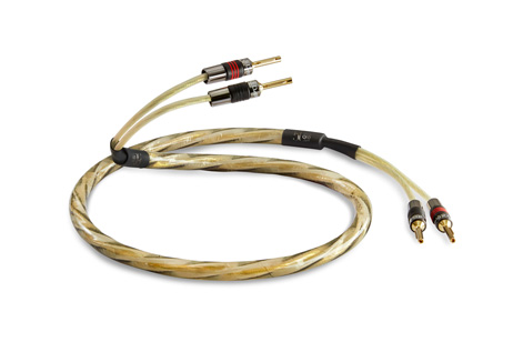 QED – GOLDEN ANNIVERSARY XT PRETERMINATO BANANE