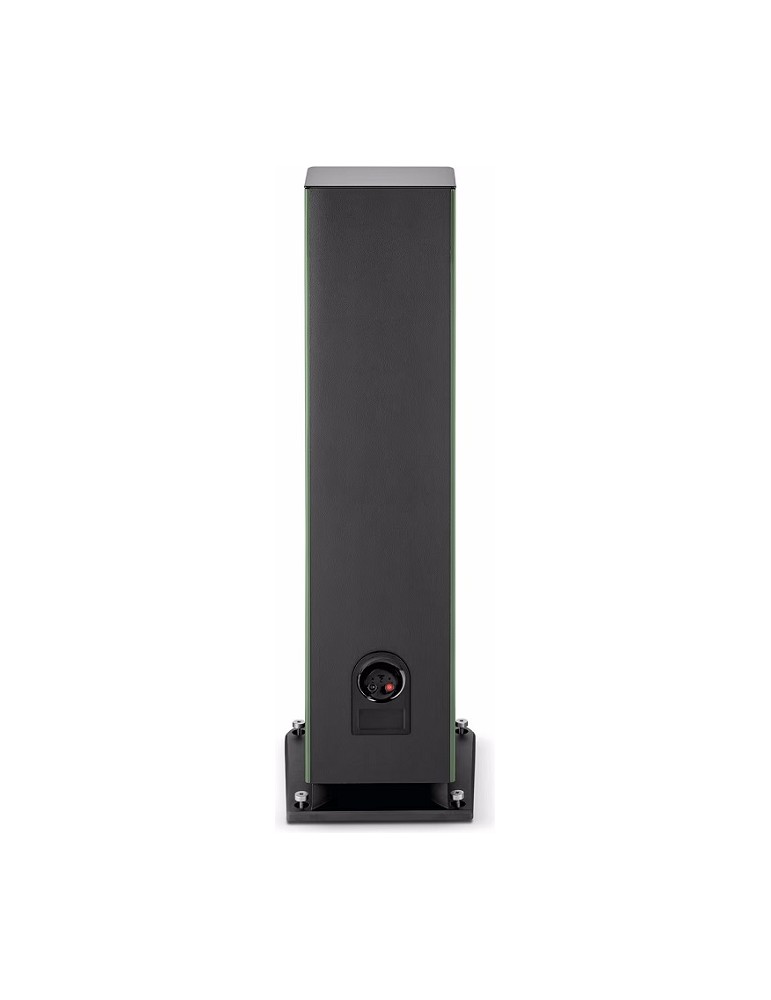 FOCAL  ARIA EVO X N4 (verde muschio hg) coppia