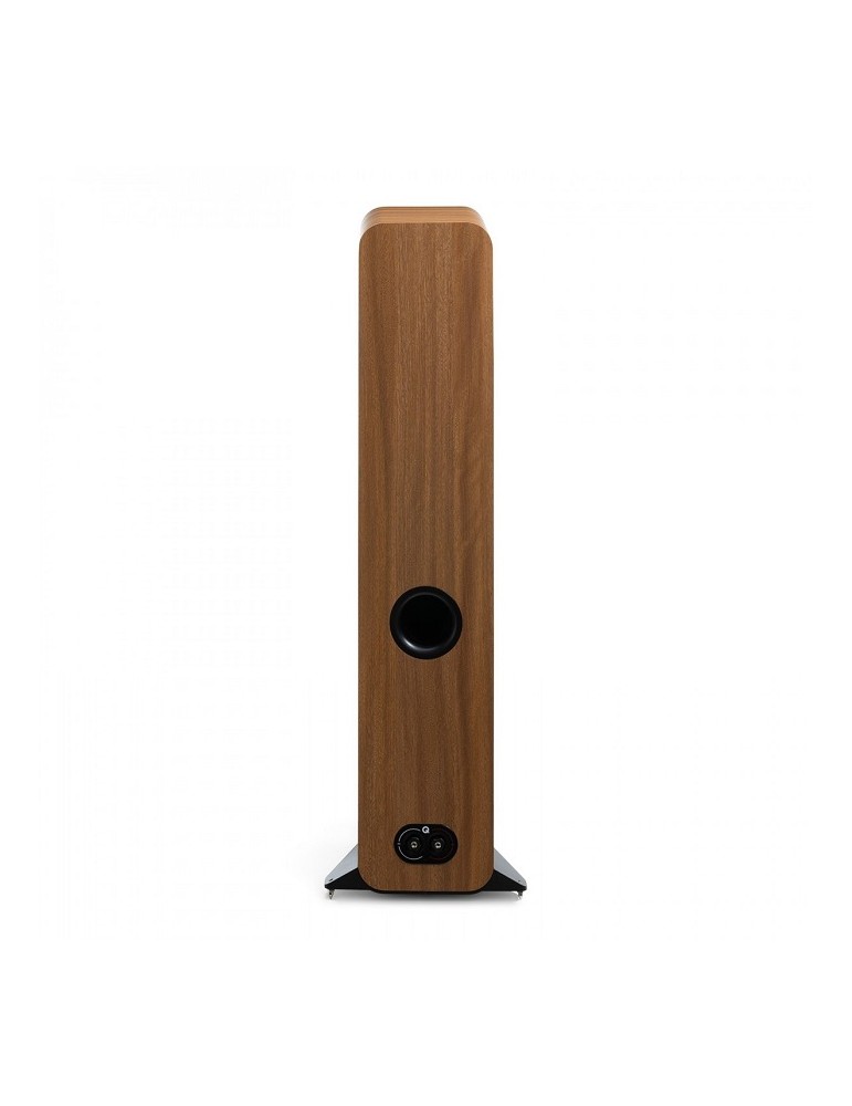 Q ACOUSTIC  3050C quercia (coppia)