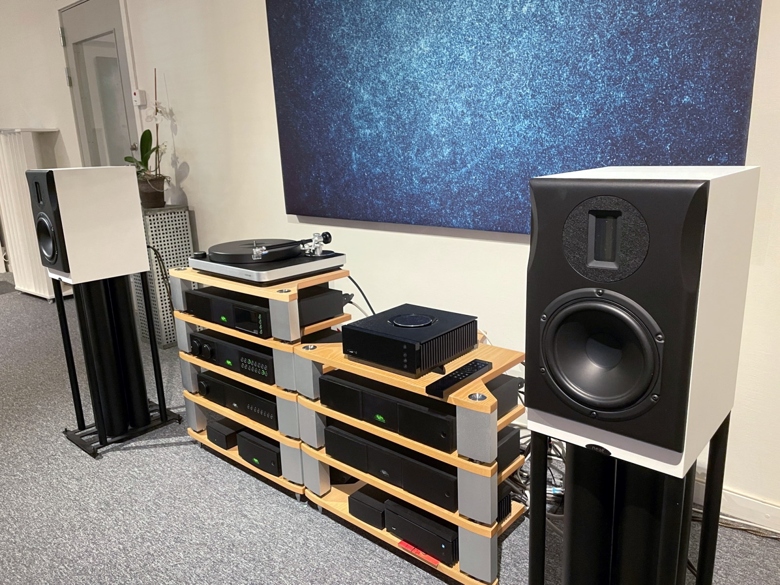 NEAT ACOUSTICS  MAJISTRA bianco satinato(coppia)
