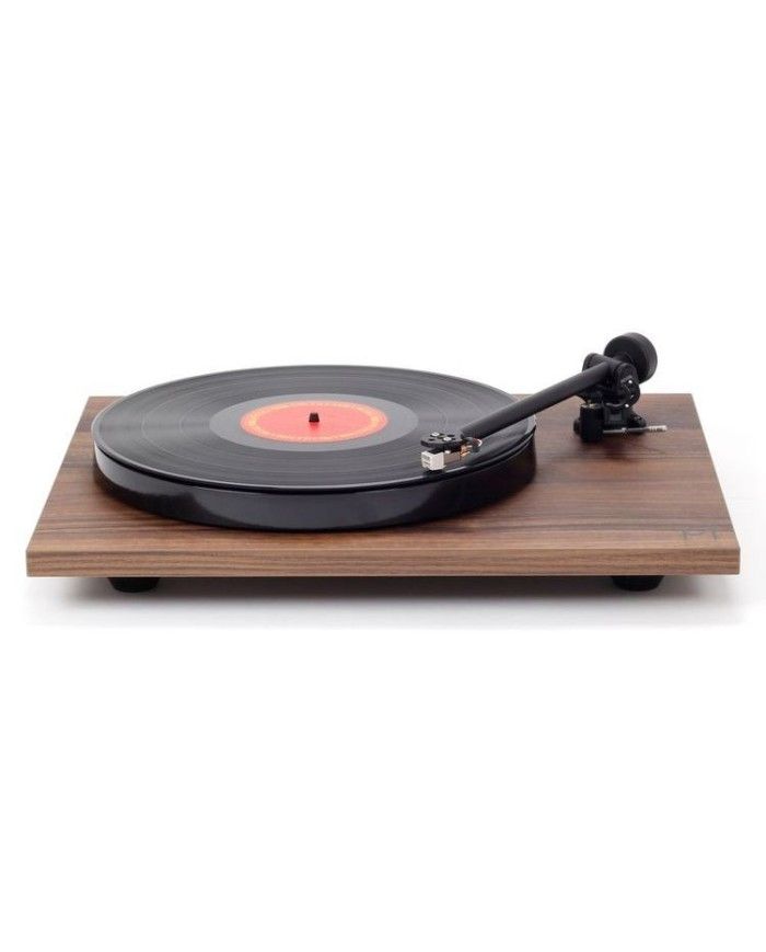 REGA  PLANAR 1 WALNUT - immagine 3